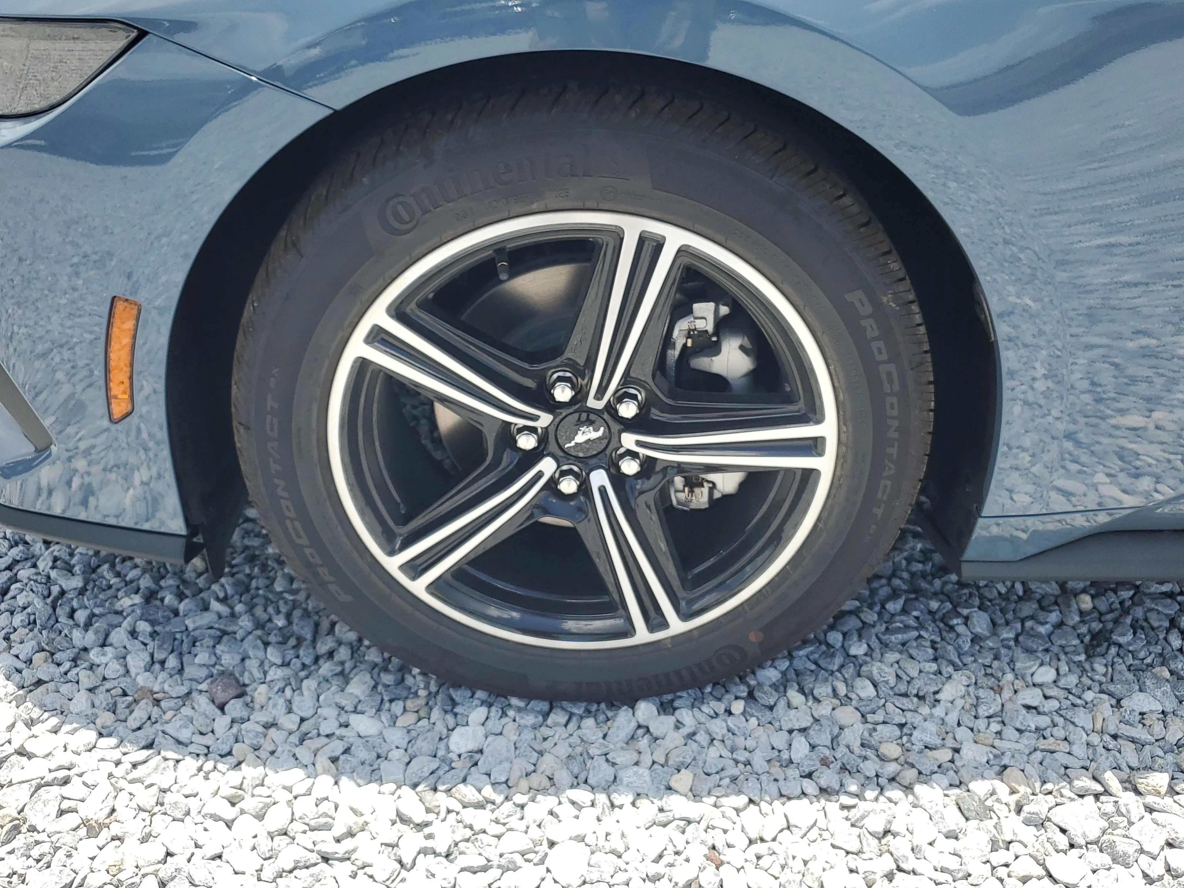 image-5