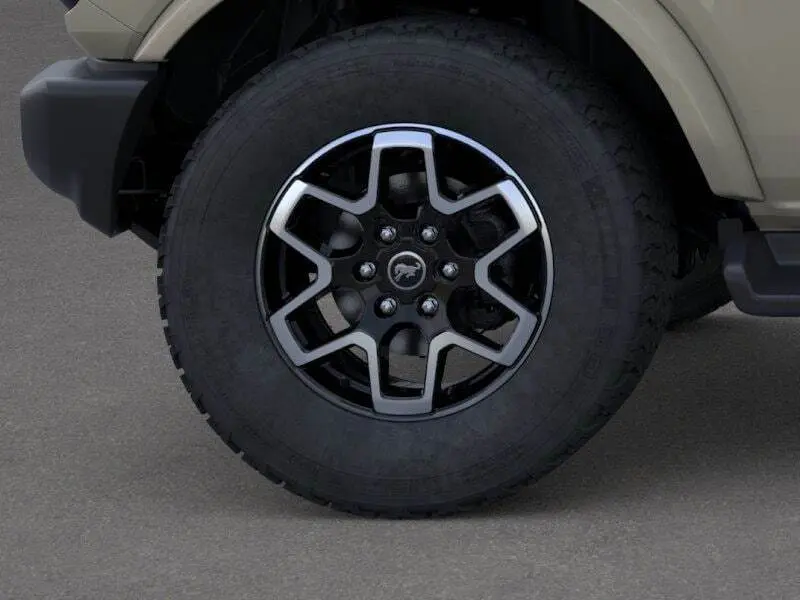 image-19