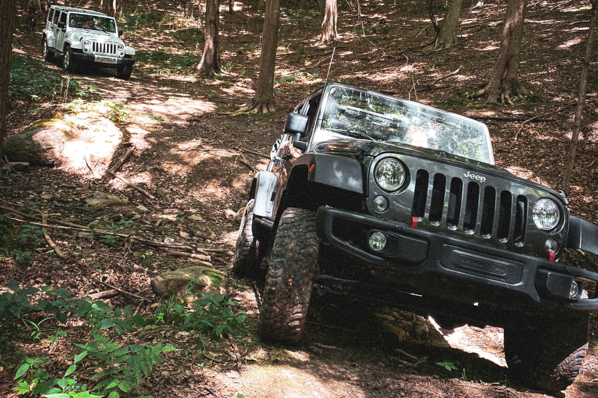 Two Jeeps in the Woods