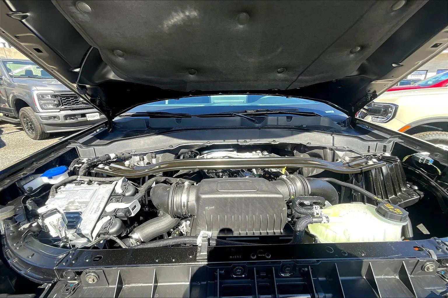 image-10