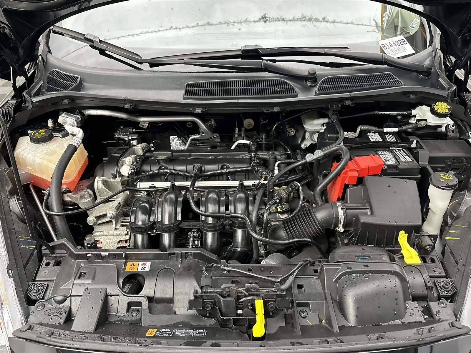 image-19