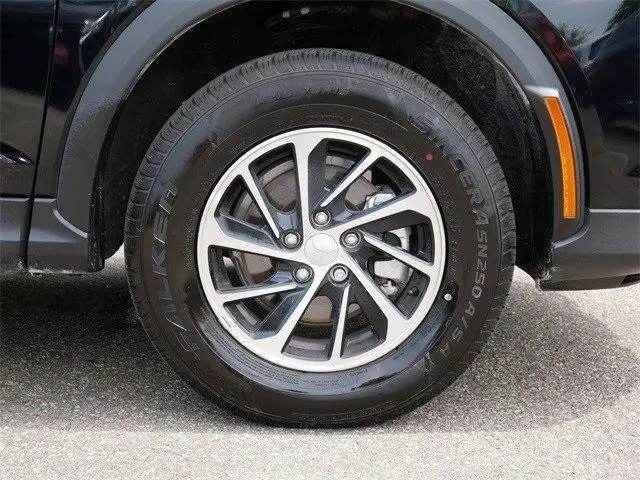 image-8