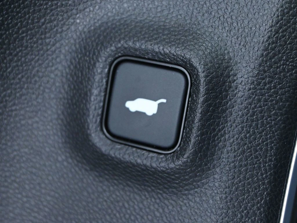 image-19