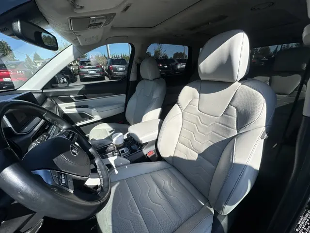 2020 Kia Telluride SX photo 10