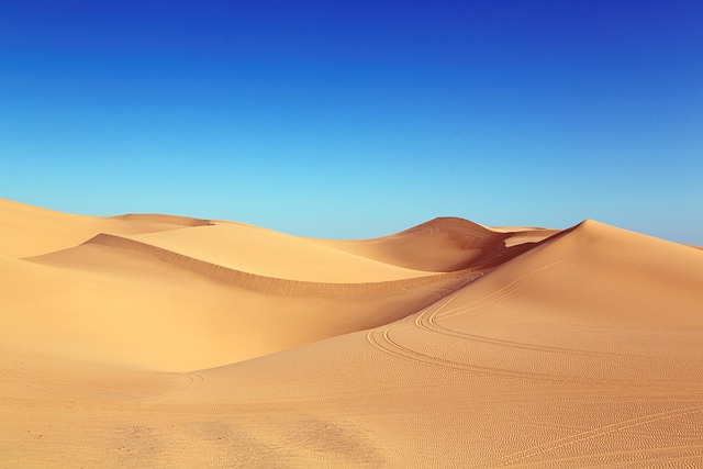 Tire Tracks in Sand Dunes