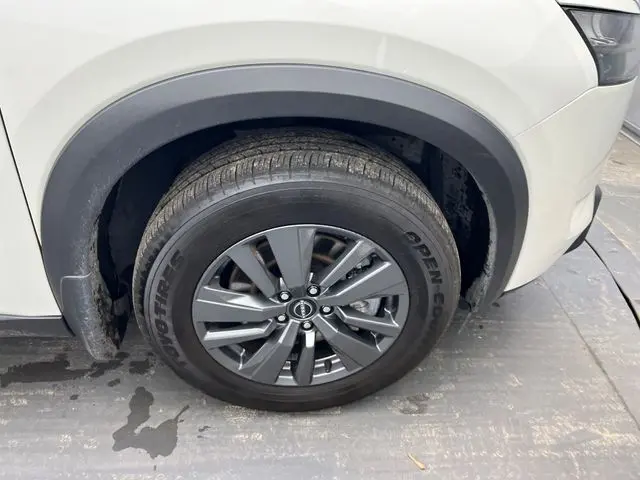 image-11