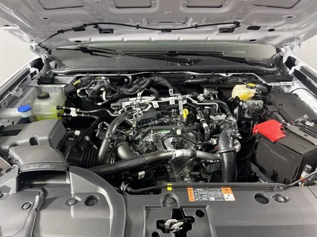 image-2