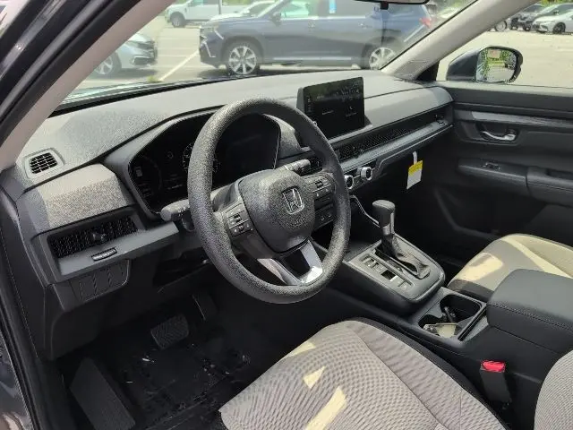 image-19