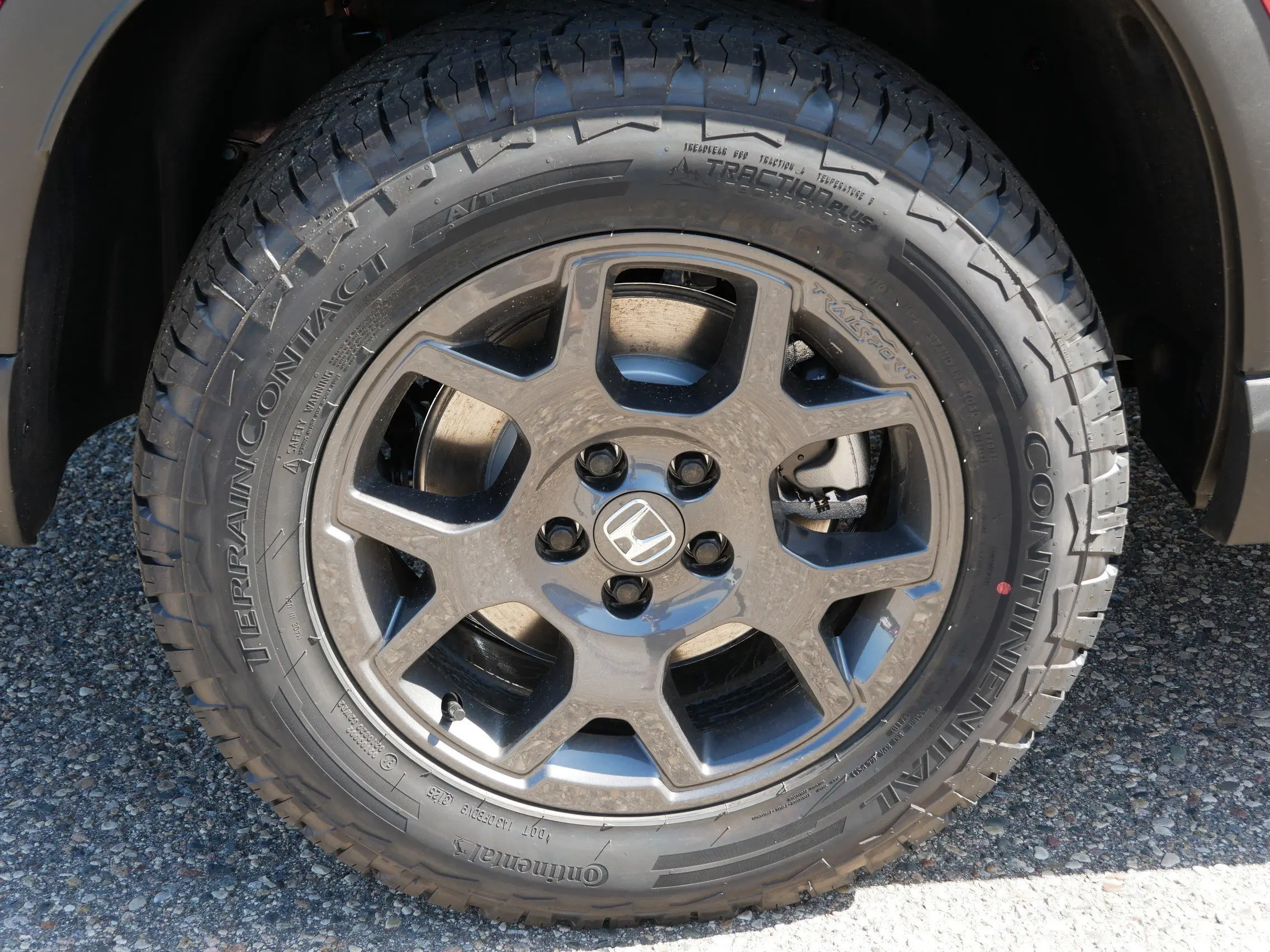 image-4