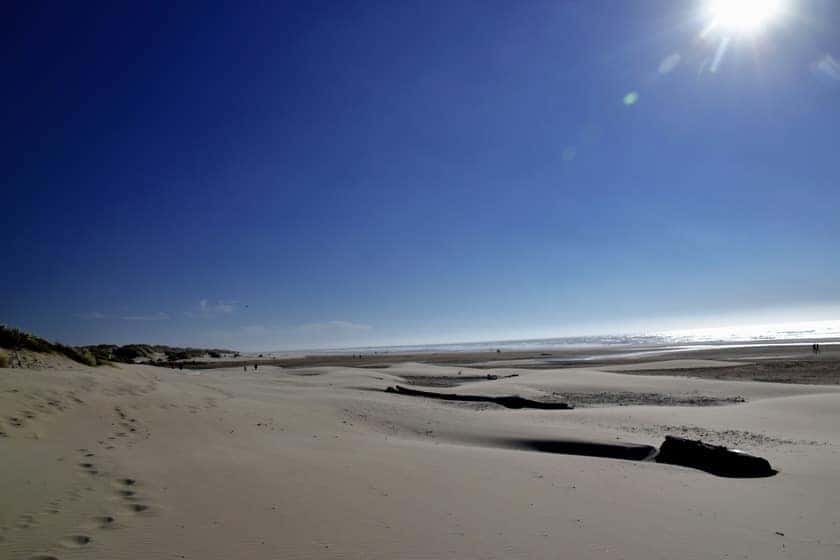 a sandy beach with a body of water in the background