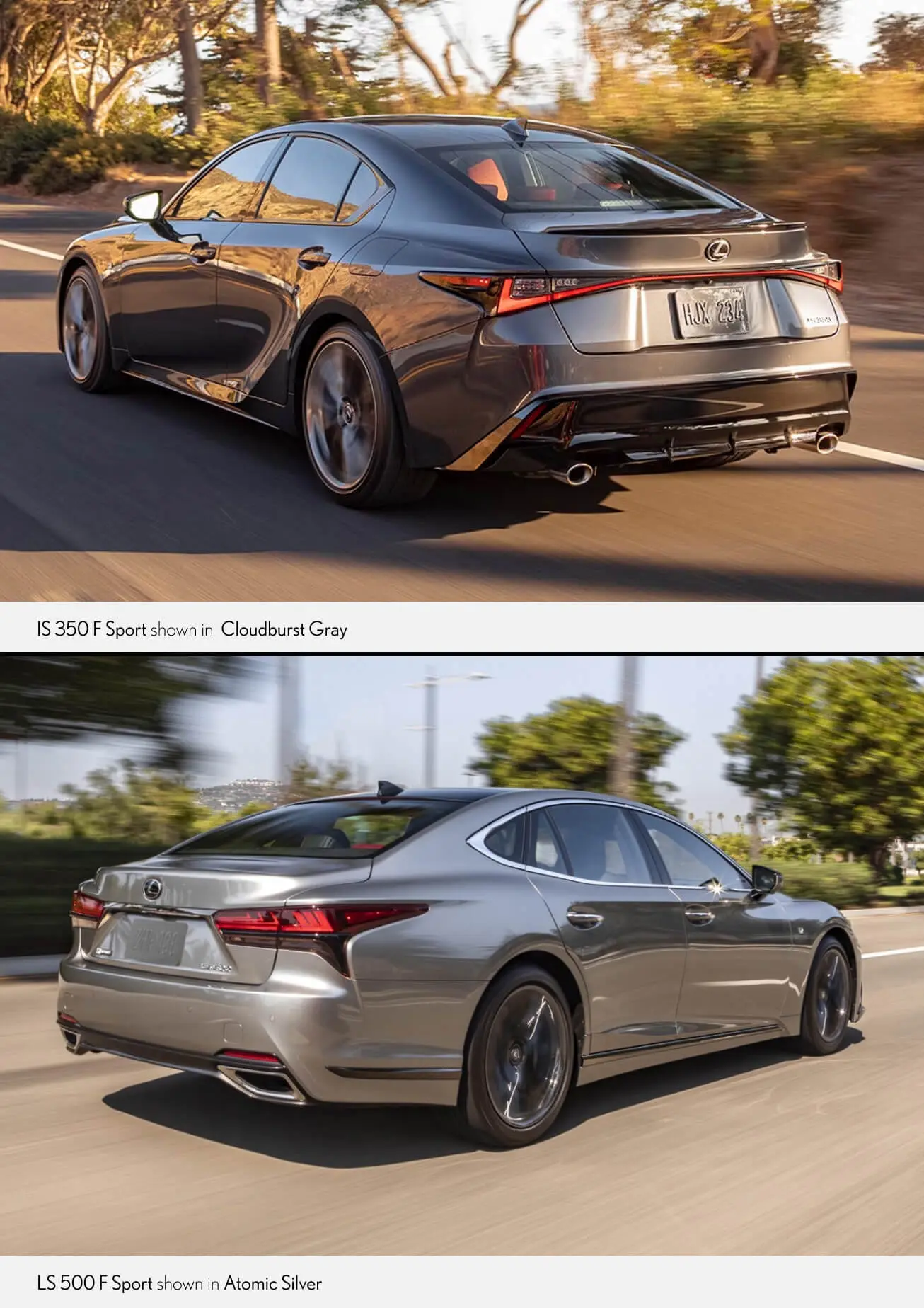 Comparing Lexus IS vs. LS Trim Options