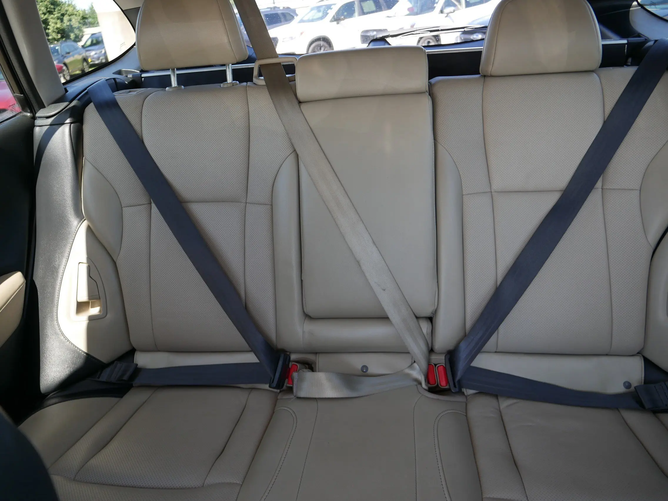 image-12