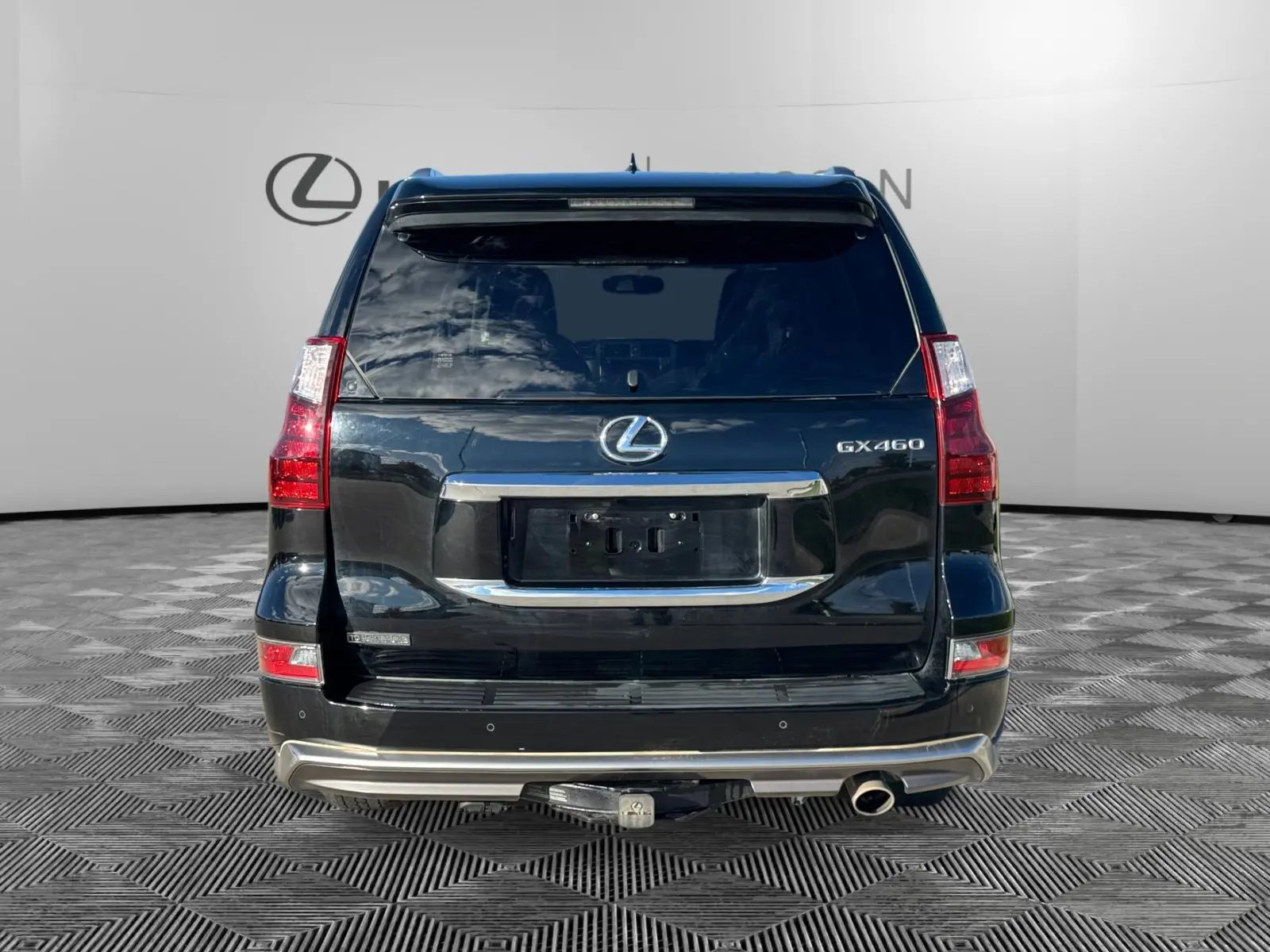 2019 Lexus GX 460 Luxury photo 3
