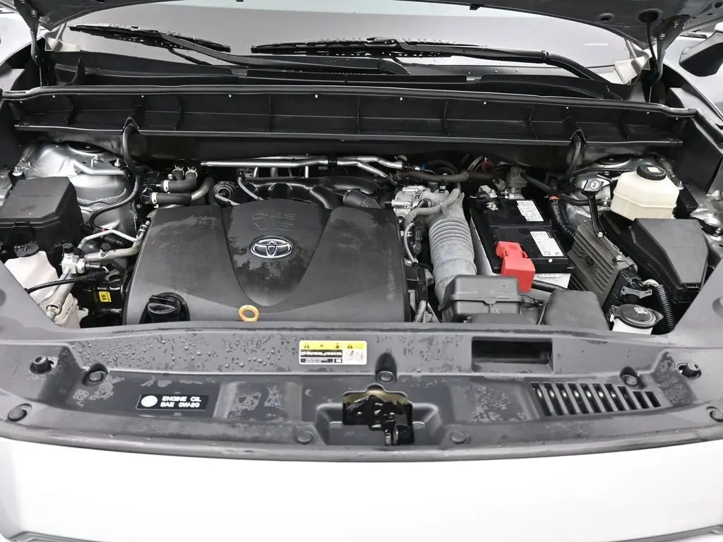 image-19