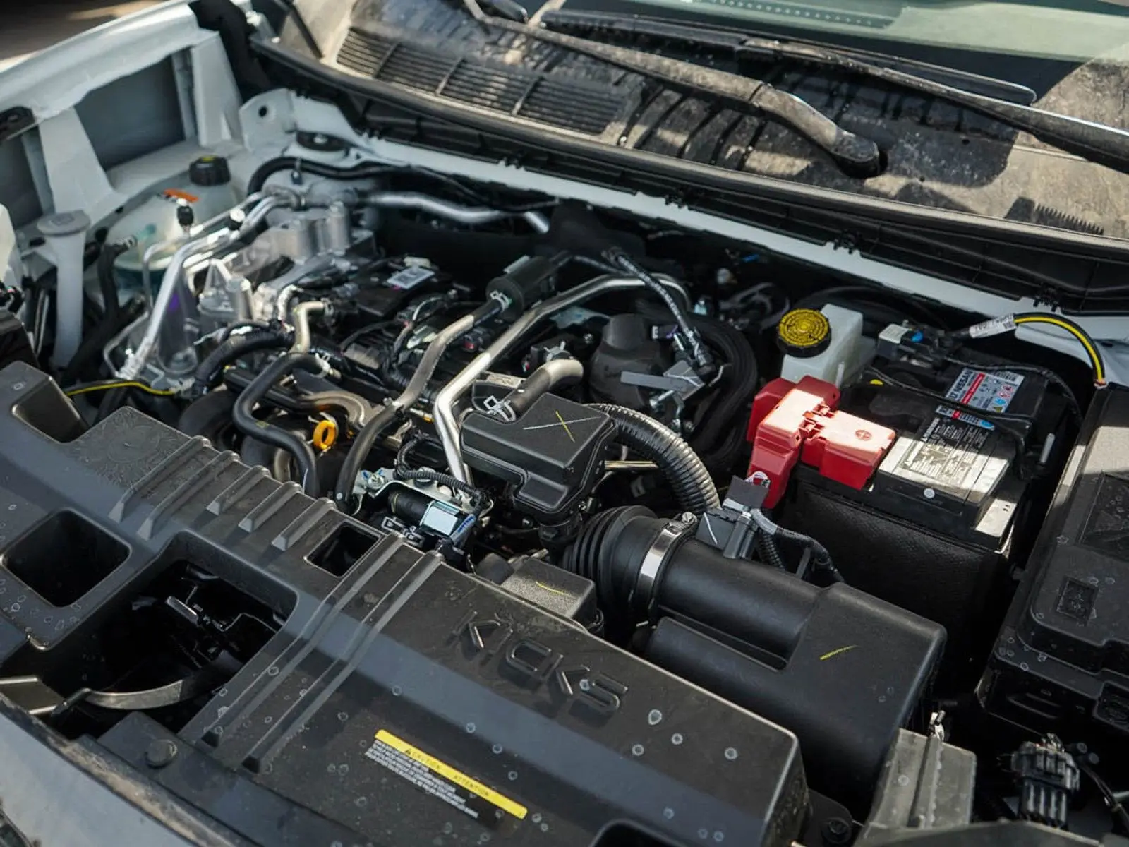 image-5