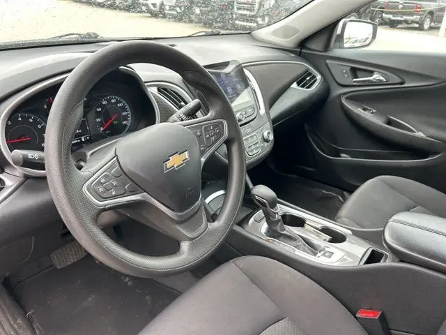 image-19