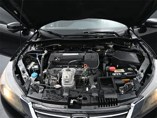 image-14