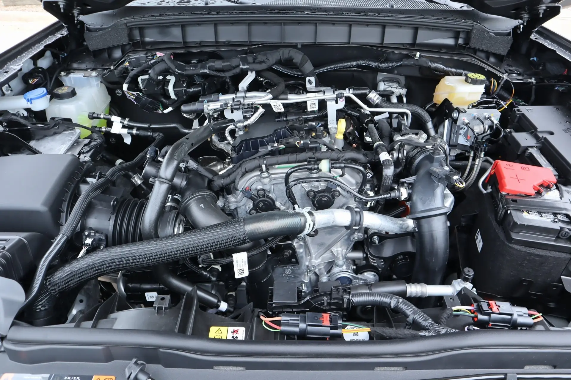 image-19