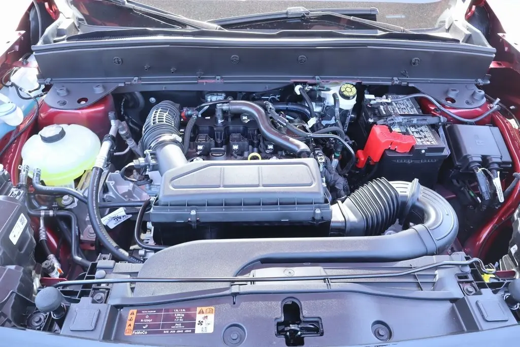 image-19