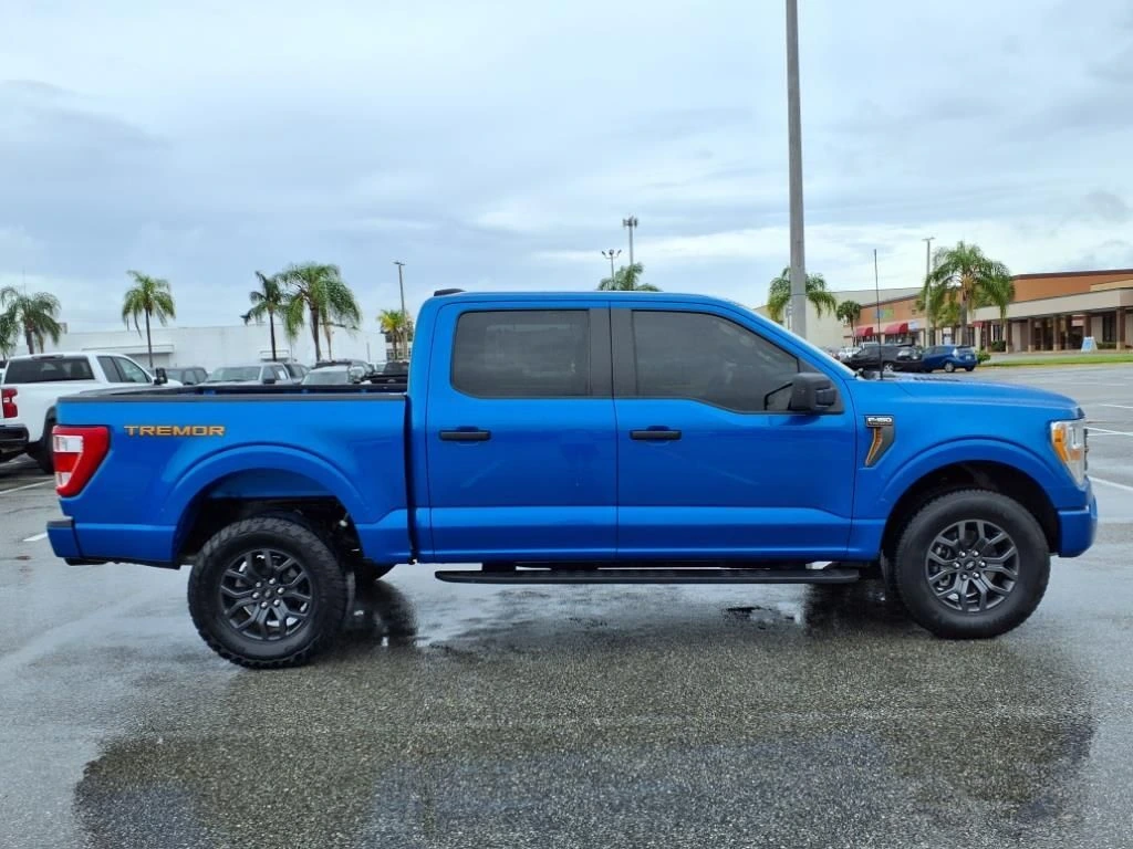 2021 Ford F-150 Tremor - Photo 8