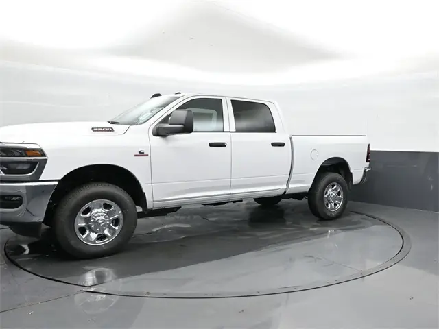 image-7