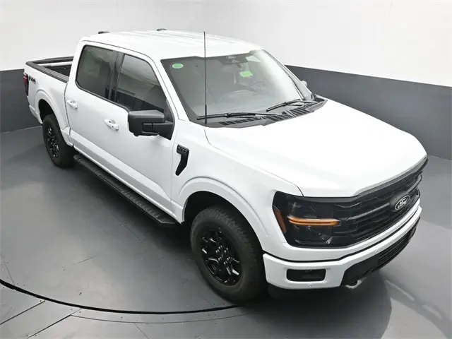 image-19