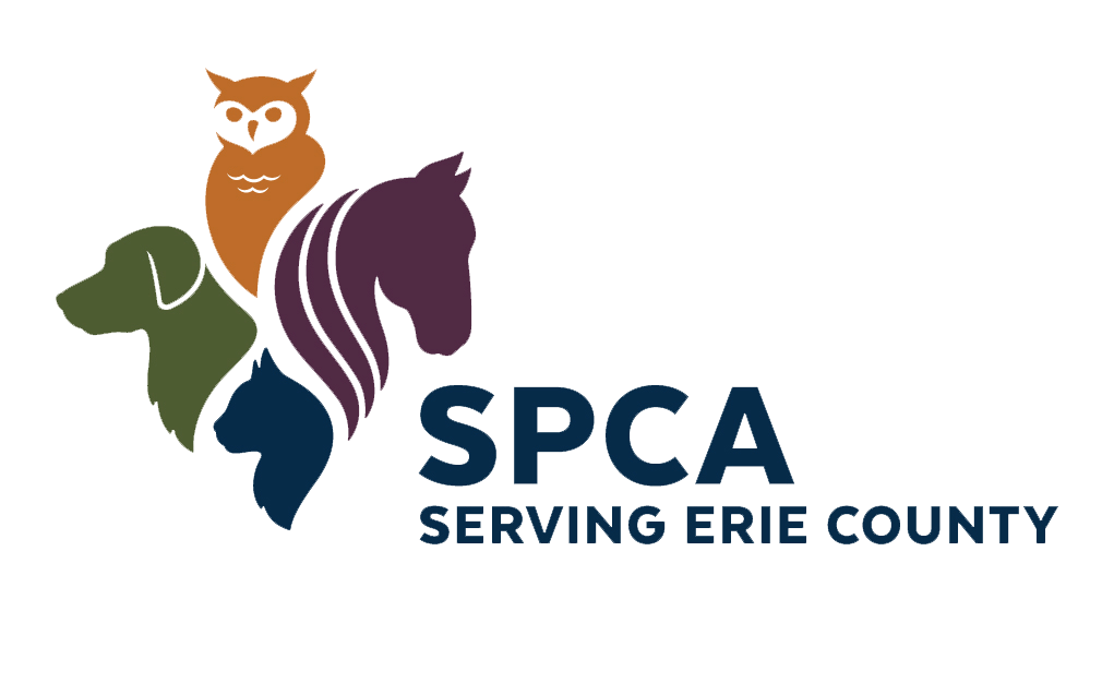 Northtown Teams Up with the Erie County SPCA