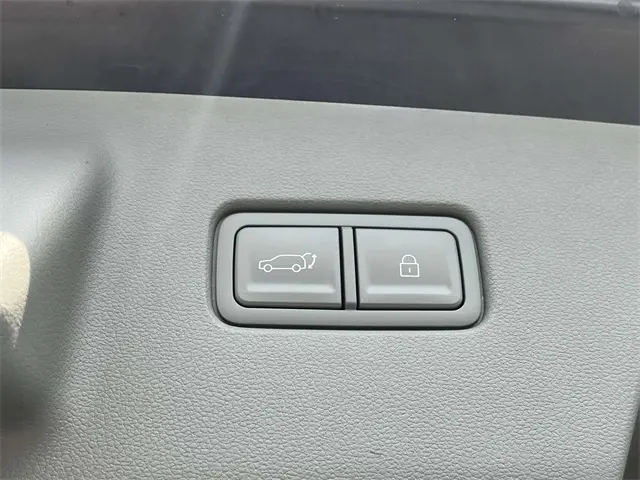 image-19