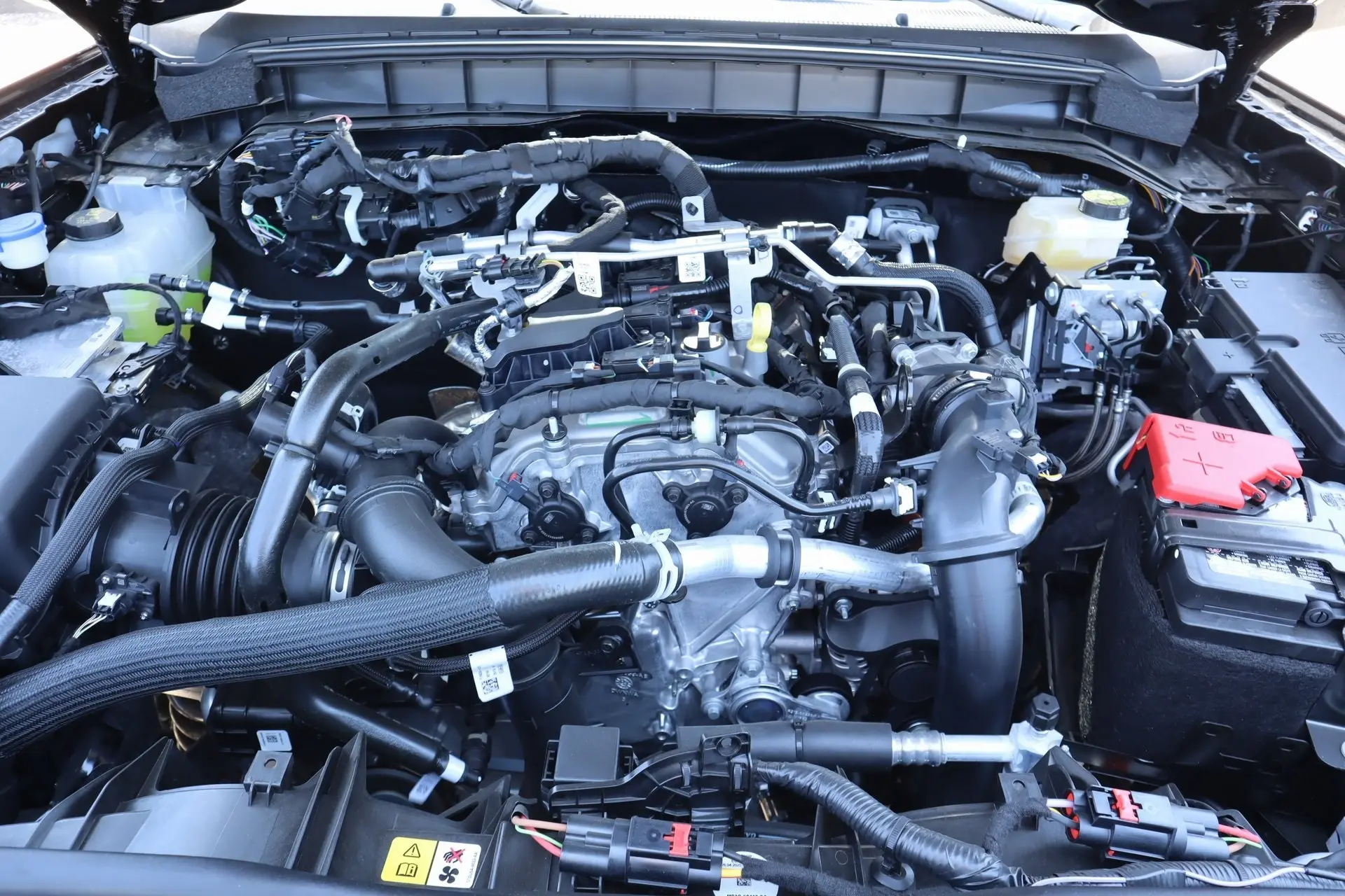 image-19