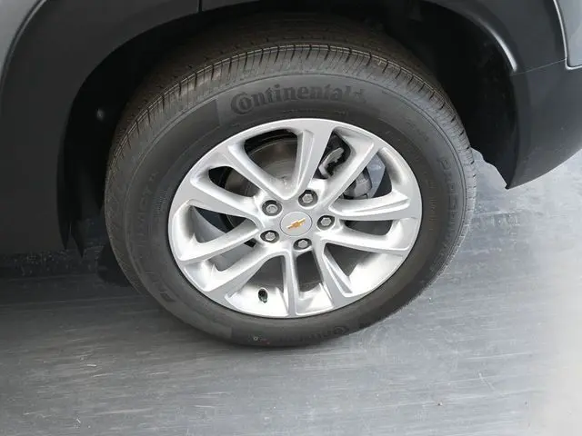 image-11