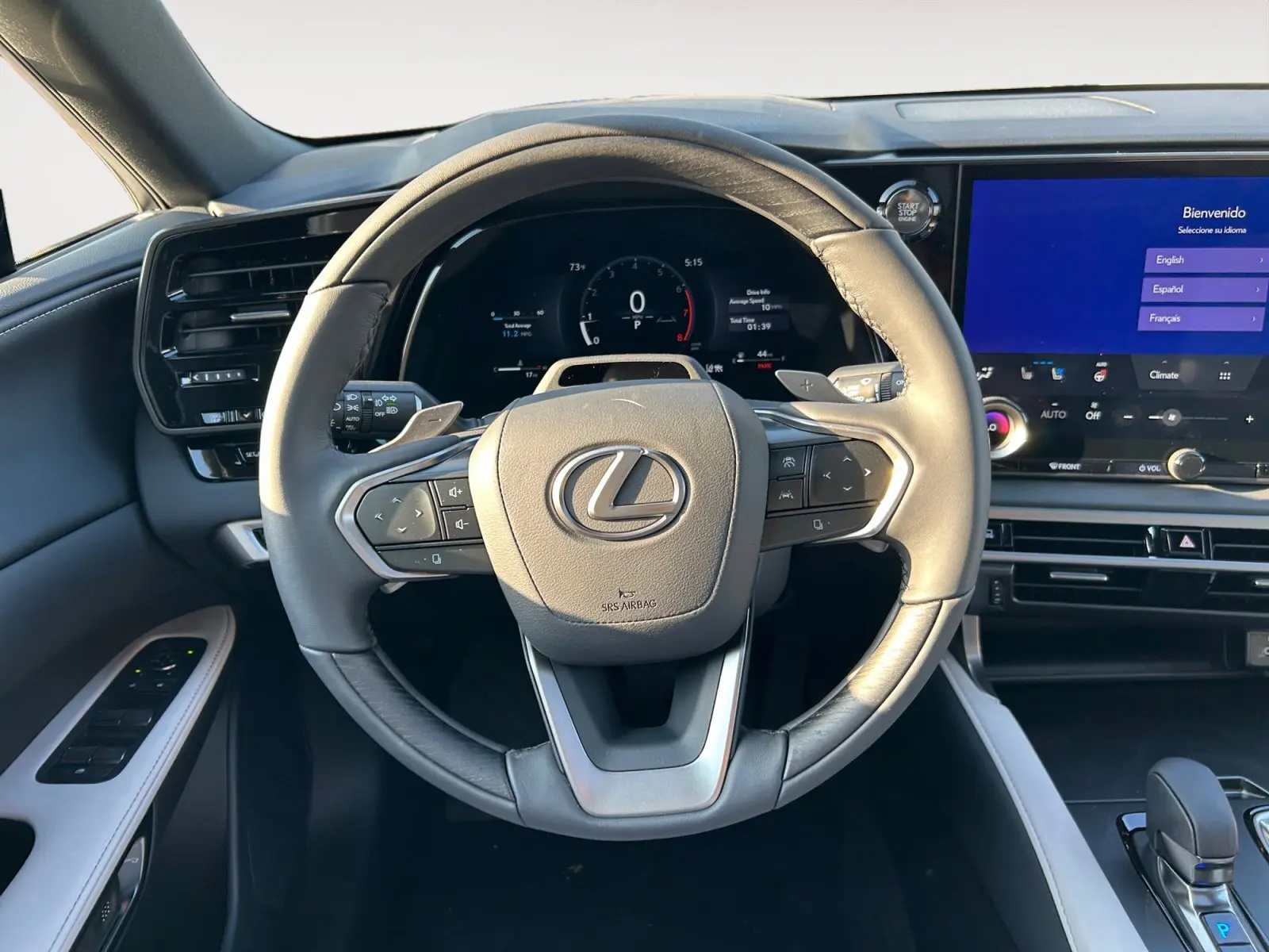 2025 Lexus RX 350 Premium AWD photo 12