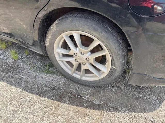 image-6