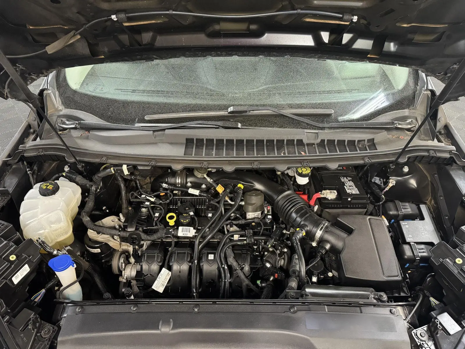 image-7