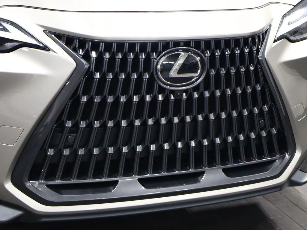 2025 Lexus NX 350 - Photo 6