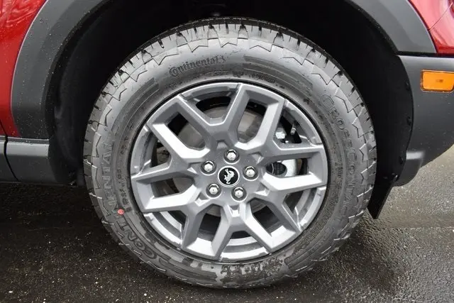 image-9