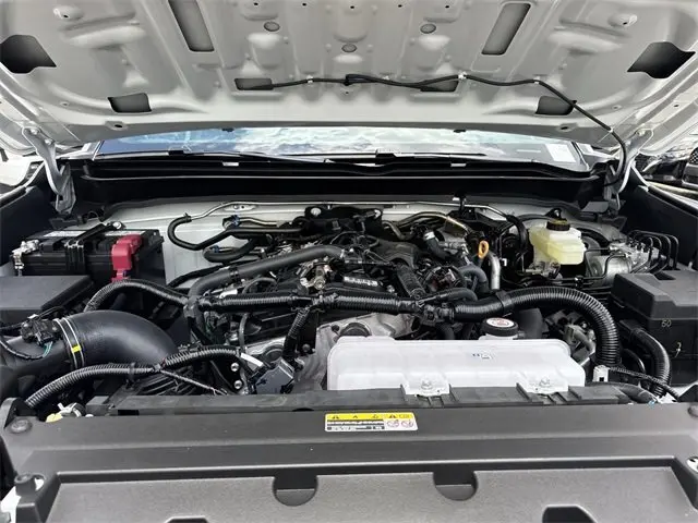 image-19