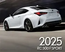2025 RX 350 F SPORT