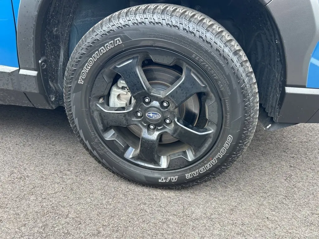 image-12