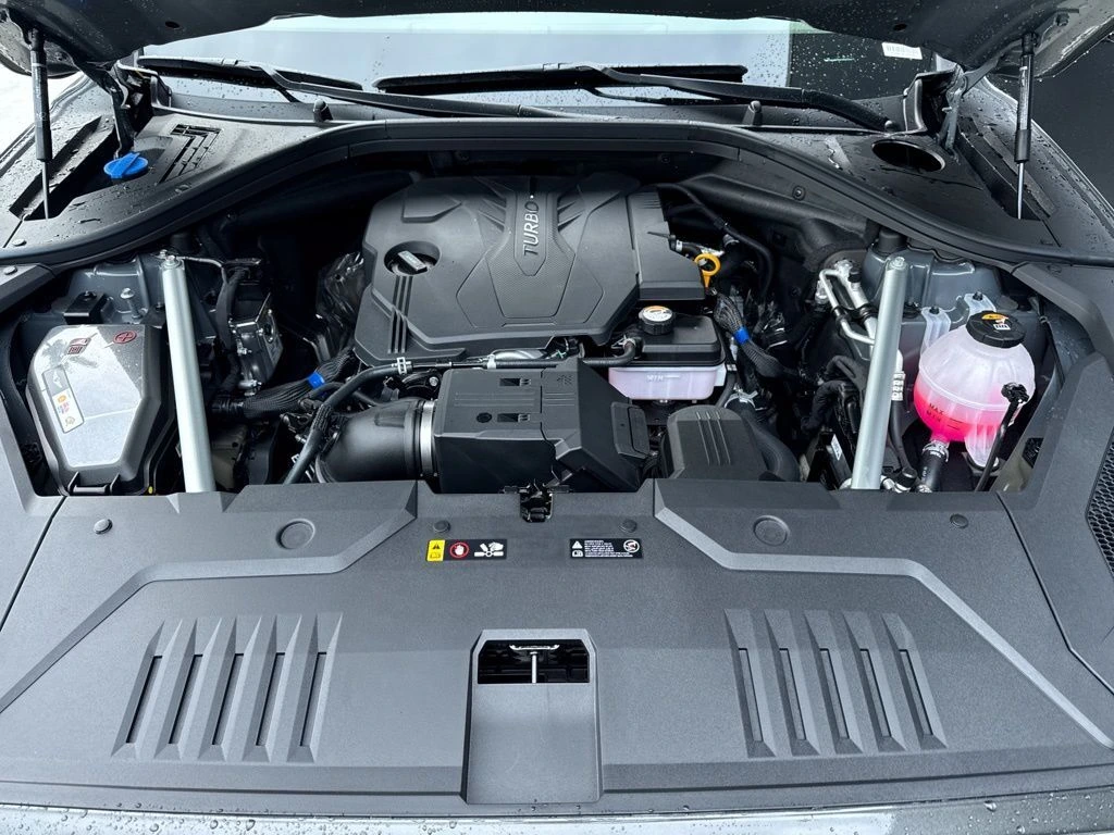 image-19