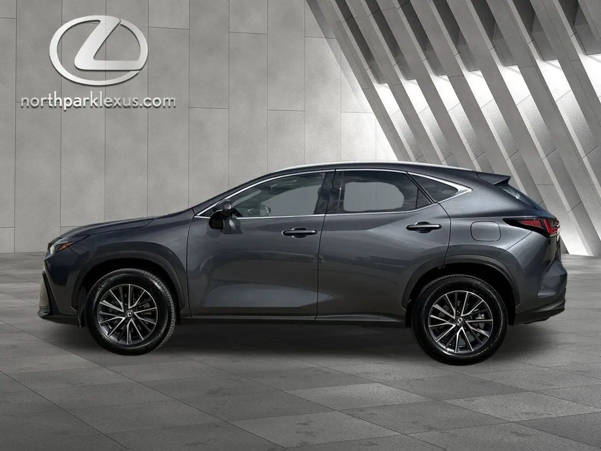 2024 Lexus NX 350's photo