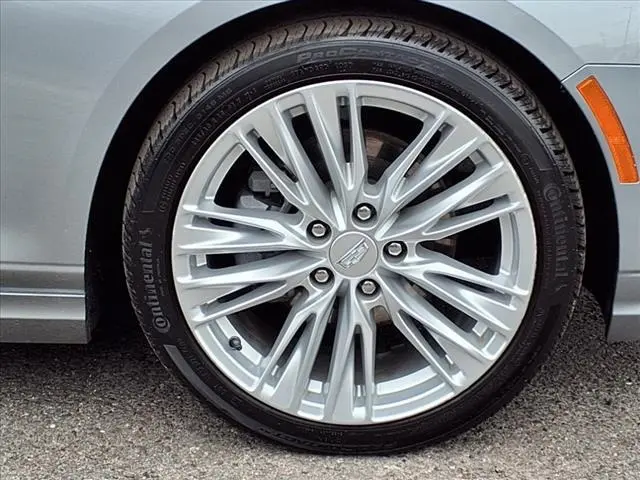 image-8