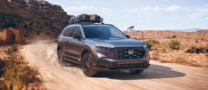 2025 Honda CR-V Photo