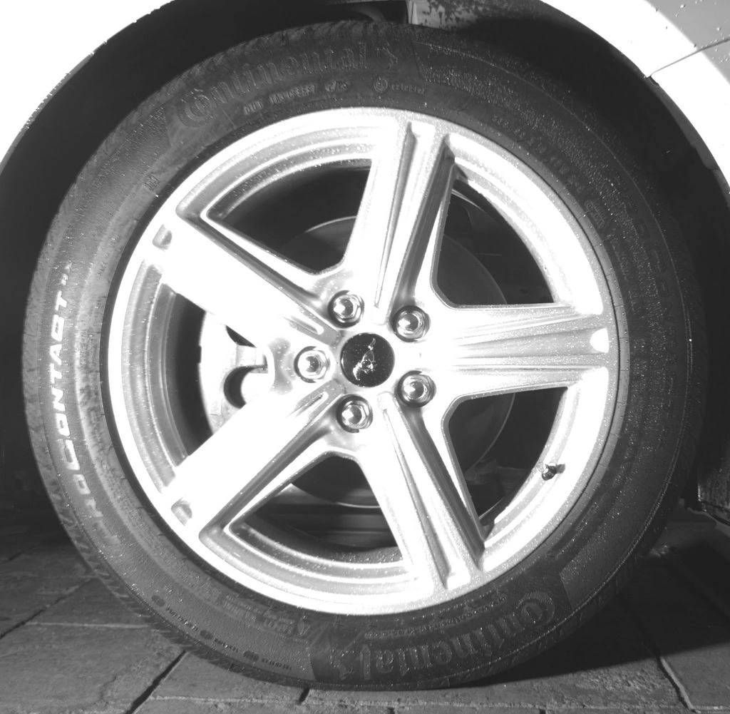 Photo 11