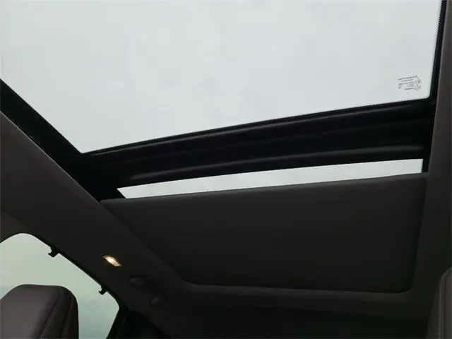 image-19