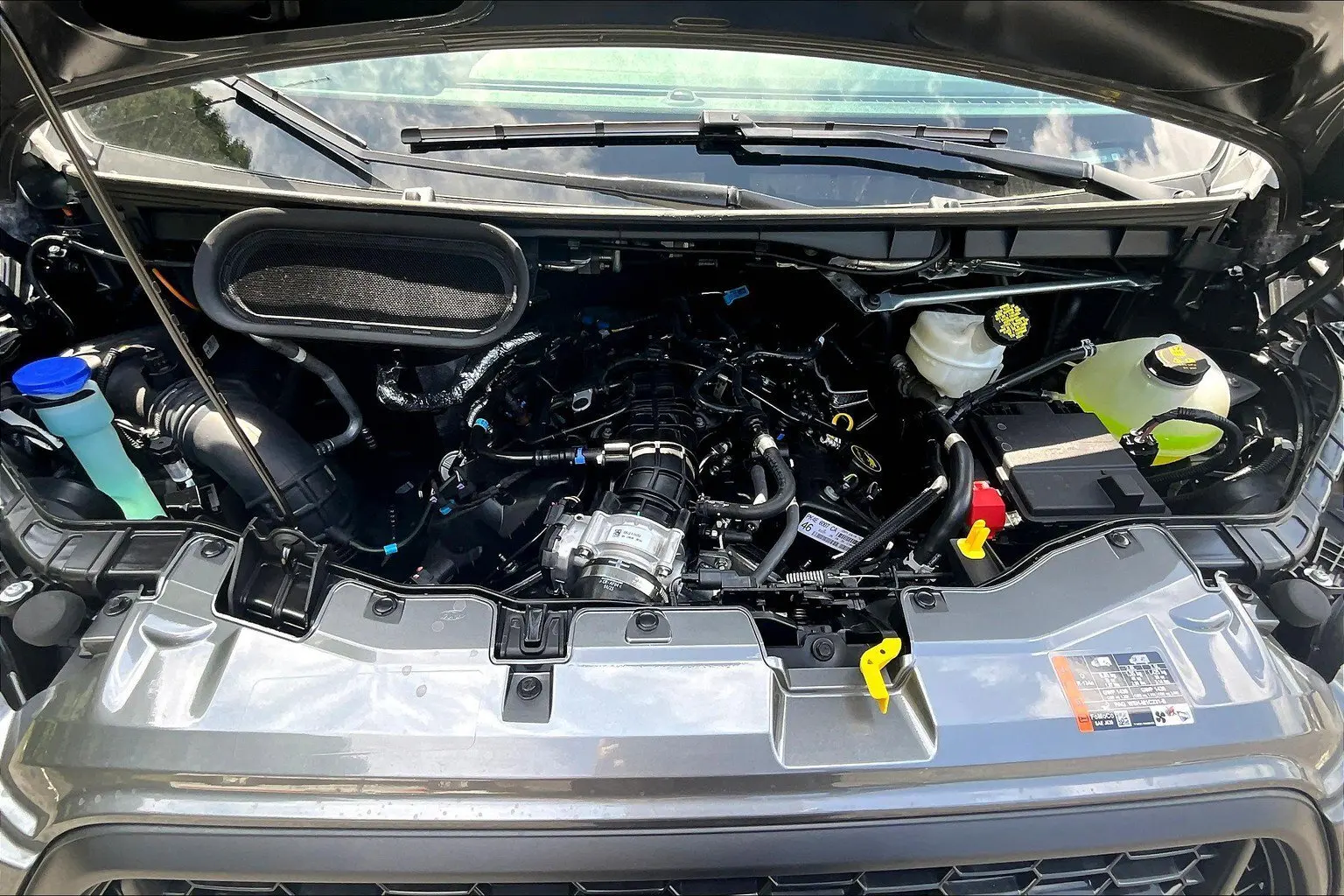 image-9