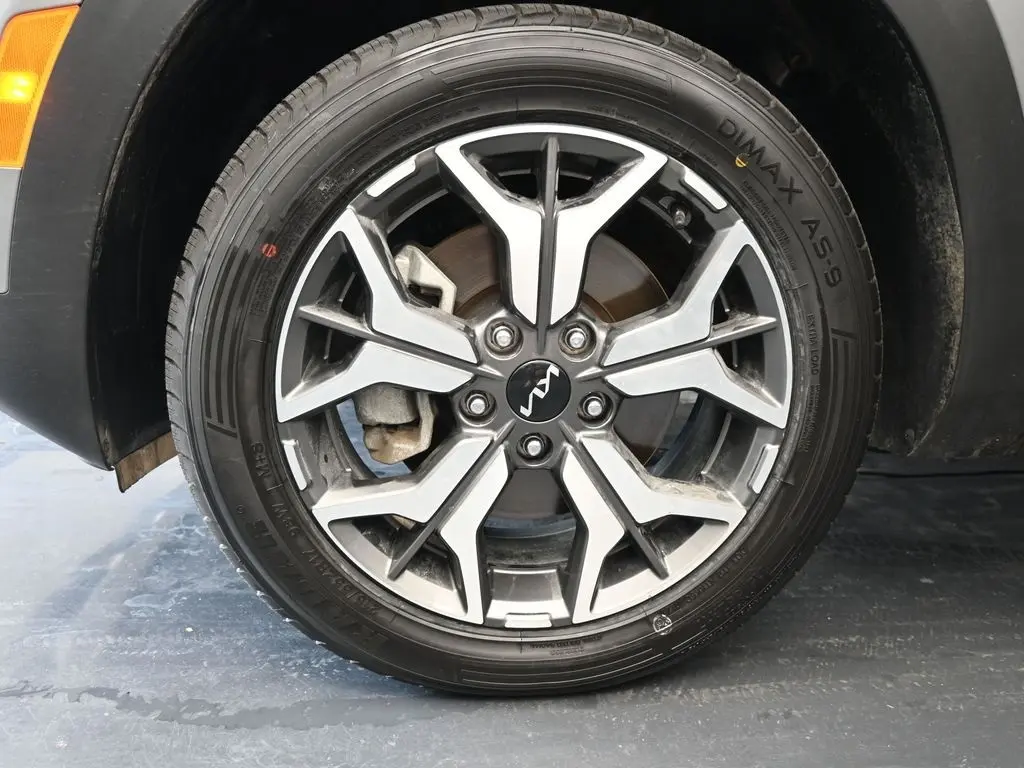 image-8