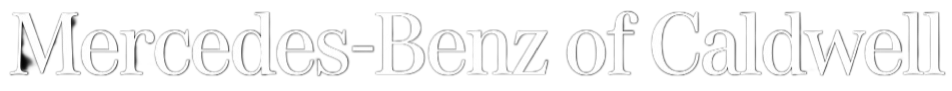Dealer Logo Primary
