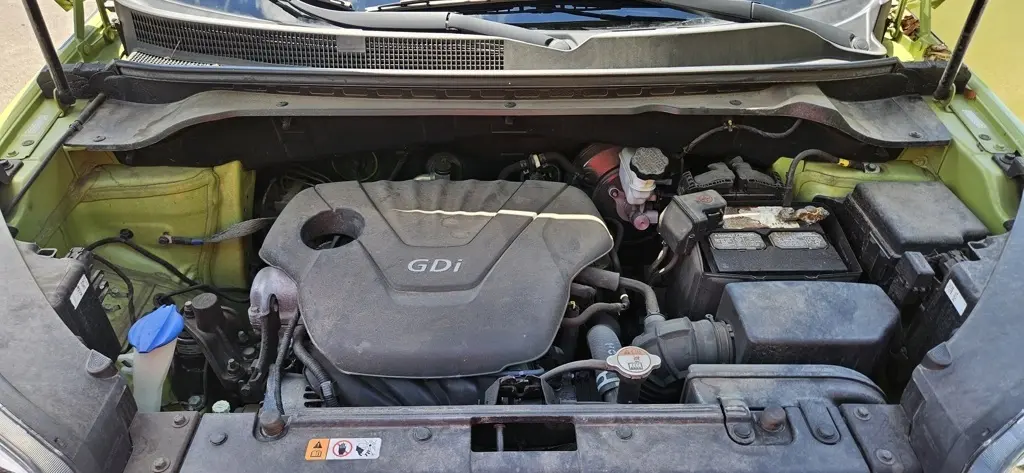 image-19