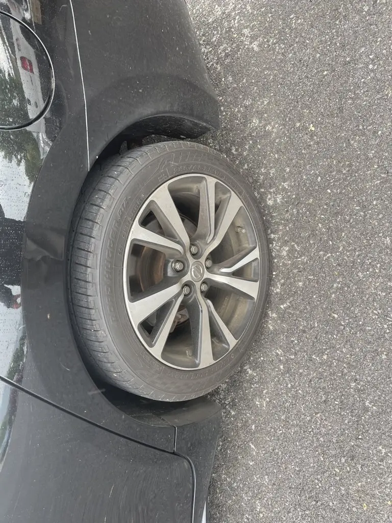 image-7