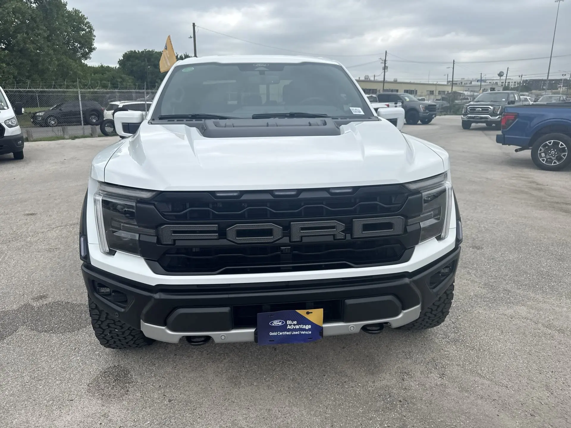 image-19